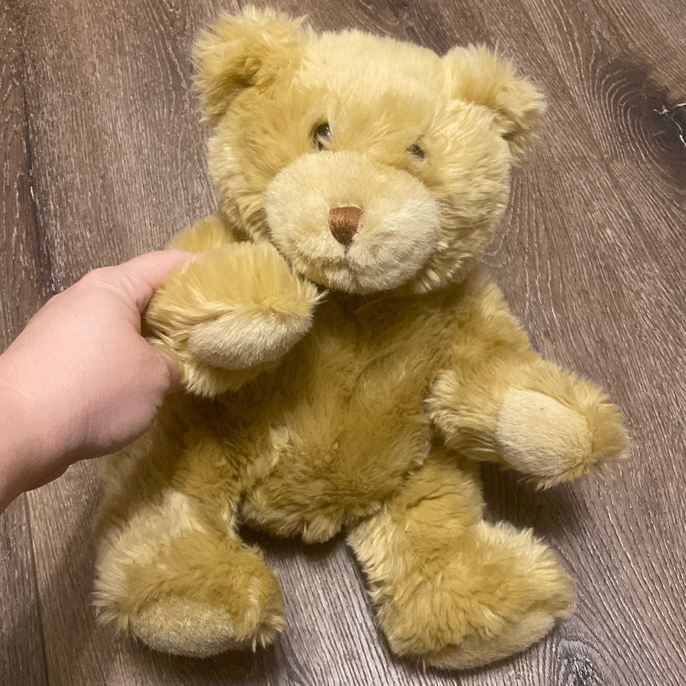 Build a bear bear